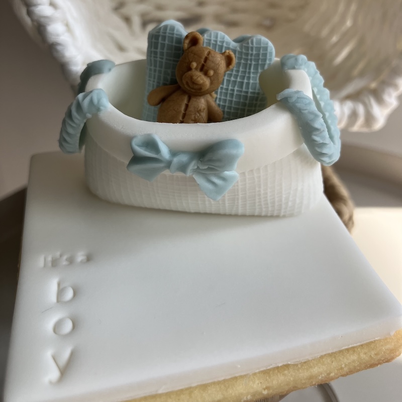 New born bag